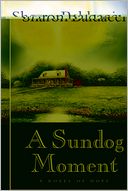 A Sundog Moment