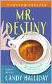 Mr. Destiny