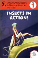 Insects in Action: (Level 1)