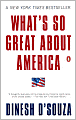 What's So Great About America