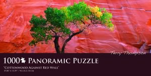 Cottonwood Against Red Wall -Thompson Panoramic 1,000 Pc