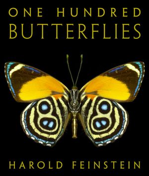 One Hundred Butterflies