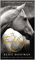The Foretelling