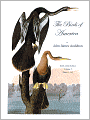 The Birds of America Volume 1