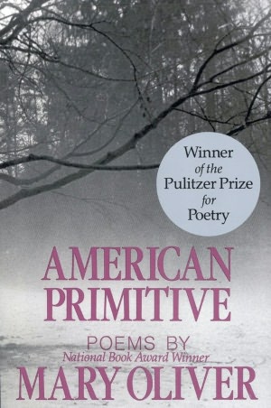 American Primitive: Poems