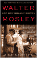 Bad Boy Brawly Brown (Easy Rawlins Series #7)