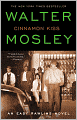Cinnamon Kiss (Easy Rawlins Series #9)