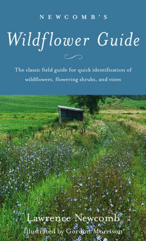 Newcomb's Wildflower Guide : An Ingenious New Key System for Quick, Positive Field Identification of the Wildflowers, Flowering Shrubs and Vines of N