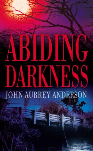 Abiding Darkness (Black or White Chronicles Series #1)