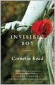 Invisible Boy