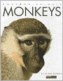 Amazing Animals: Monkeys