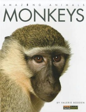 Amazing Animals: Monkeys