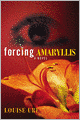 Forcing Amaryllis