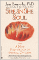 Fire in the Soul: A New Psychology of Spiritual Optimism
