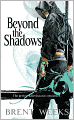 Beyond the Shadows (Night Angel Trilogy #3)