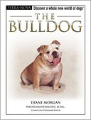 The Bulldog