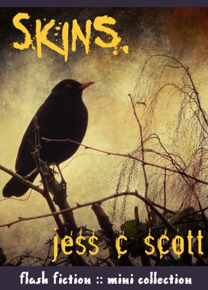 Skins (flash fiction mini collection)