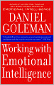 Working with Emotional Intelligence