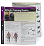 Weight Training Basics (Quamut)