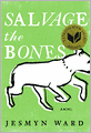 Salvage the Bones