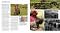 The Photographer's Mind: Creative Thinking for Better Digital Photos by Michael Freeman: Book Cover