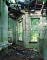 Asylum: Inside the Closed World of State Mental Hospitals by Christopher Payne: Book Cover