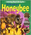 The Life Cycle of a Honeybee