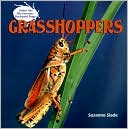 Grasshoppers