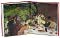 Food: The History of Taste by Paul Freedman: Book Cover