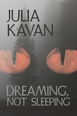 Dreaming, Not Sleeping