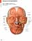 Atlas of Anatomy by Anne M Gilroy: Book Cover