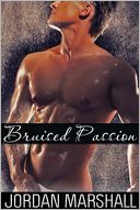 Bruised Passion (Gay Sex Story)