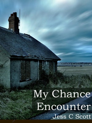 My Chance Encounter (Horror Short Story, Ghost, Flash Fiction)