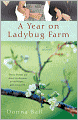 A Year on Ladybug Farm