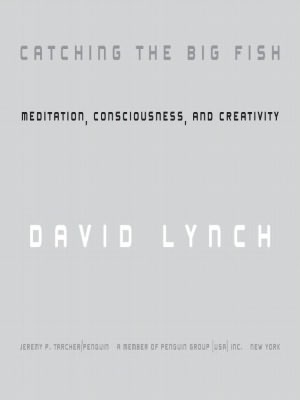 Catching the Big Fish: Meditation, Consciousness, and Creativity
