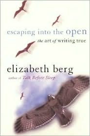 Escaping into the Open: The Art of Writing True by Elizabeth Berg: Book Cover