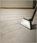 download The Essential Guide to Carpet Cleaning Like a Pro book