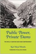 Public Power, Private Dams