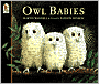 Owl Babies