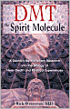 DMT: The Spirit Molecule: A Doctor's Revolutionary Research into the Biology of Near Death, and Mystical Experiences
