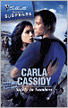 Safety in Numbers (Silhouette Romantic Suspense #1463)