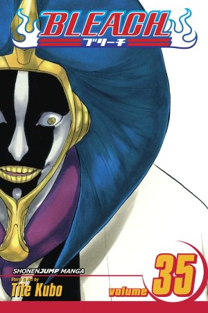 Bleach, Volume 35: Higher Than the Moon