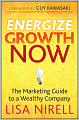 Energize Growth NOW: The Marketing Guide to a Wealthy Company
