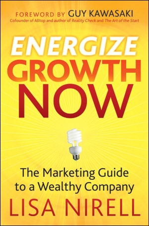 Energize Growth NOW: The Marketing Guide to a Wealthy Company