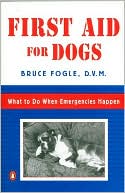 First Aid for Dogs: What to do When Emergencies Happen