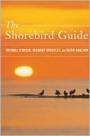 download The Shorebird Guide book