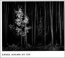 Ansel Adams at 100