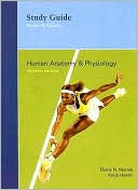 Human Anatomy and Physiology