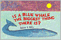 Is a Blue Whale the Biggest Thing There Is?