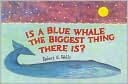 Is a Blue Whale the Biggest Thing There Is?